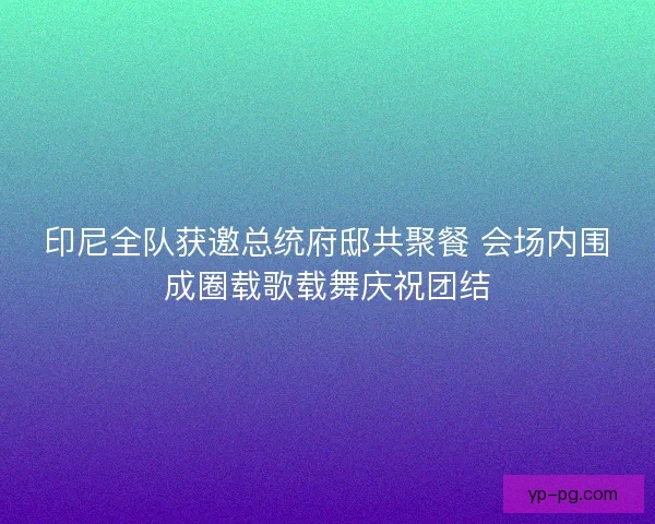 印尼全队获邀总统府邸共聚餐 会场内围成圈载歌载舞庆祝团结